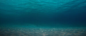 Clear underwater view showing seabed patterns
